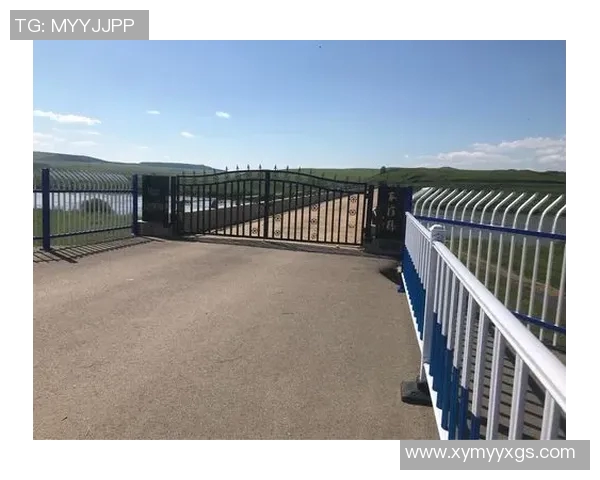 《足球传奇：那些曾在书本上留下足迹的球星故事》