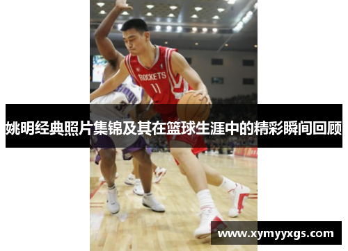 姚明经典照片集锦及其在篮球生涯中的精彩瞬间回顾