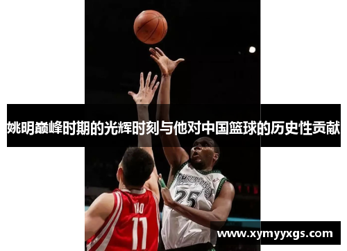姚明巅峰时期的光辉时刻与他对中国篮球的历史性贡献