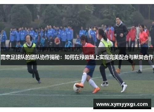 南京足球队的团队协作揭秘：如何在绿茵场上实现完美配合与默契合作