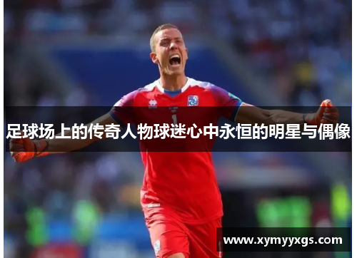 足球场上的传奇人物球迷心中永恒的明星与偶像