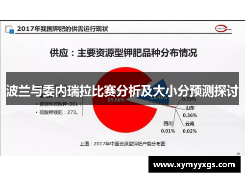 波兰与委内瑞拉比赛分析及大小分预测探讨